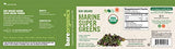 BareOrganics Marine Super Greens Powder | USDA Organic, Gluten-Free, Vegan, Non-GMO, BPA-Free | Kelp, Chlorella, Spirulina, 8oz