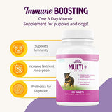 Health Extension Lifetime Multivitamin and Minerals for Dogs & Puppies, Supplements for Immune System, Digestion, Joint Support, Coat & Skin, Contains Vitamin A, D, E, K, B12, 180 Tablets