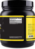 Primaforce Micronized Creatine Monohydrate Powder 500 Grams (1.1 Pounds)