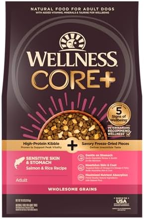Wellness CORE+ Sensitive Skin & Stomach Dry Dog Food with Freeze Dried Pieces, Wholesome Grains, High Protein, Natural, Salmon & Rice Recipe, (18-Pound Bag)