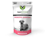 VetriScience Probiotic Everyday for Dogs, 45 Chews - Immune and Digestive Support Supplement for Dogs