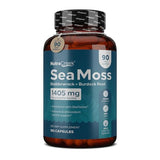 NutraCreek Sea Moss | Irish Sea Moss Capsules with Bladderwrack, Burdock Root & BioPerine for Absorption. Prebiotic & Immune Support | 90 Days Supply of Bladderwrack and Sea Moss Pills - 180 Capsules