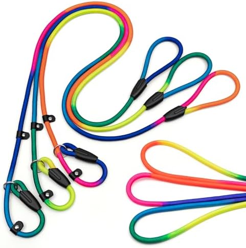 3pcs Rainbow Slip Lead Dog Leash, no Pull Pet Training Leash for Medium and Small Dogs,Two Leather stoppers （5feet，Rainbow）