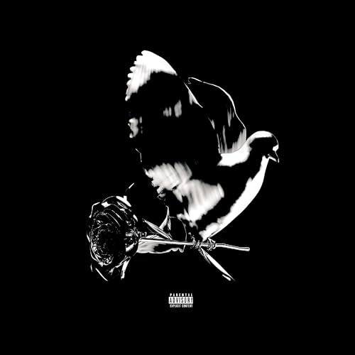 Shoot For The Stars Aim For The Moon