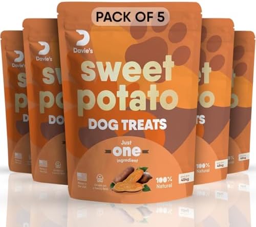 Davie's Sweet Potato Dog Treats - Healthy Dog Treats Made in USA Only, Natural Dog Treats, Healthy Dog Chews, Low Fat Dog Treats, 1 lb Bag - Pack of 5