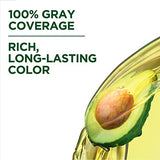 Garnier Hair Color Nutrisse Nourishing Creme, 513 Medium Nude Brown (Hot Chocolate) Permanent Hair Dye, 2 Count (Packaging May Vary)