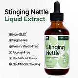 Stinging Nettle Leaf and Root 4 fl oz Liquid Extract - Natural Urinary & Kidney Support for Man and Woman - Organic Urtica Dioica - High Potency Herbal Supplement - 90-Day Supply