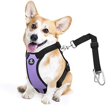 Dog Seat Belt, Safety Vest Dog Car Harness with Adjustable Buckle Dog Seat Belt for Vehicle Nylon Pet Safety Seat Belts Heavy Duty(M, Purple)