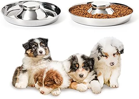 Stainless Steel Puppy Bowls, Set of 2 Puppy Feeder, Dog Food and Water Bowl, Food Feeding Weaning for Small Medium Large Dogs, Pets, S