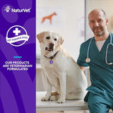 NaturVet Evolutions Advanced Allergy Support 90ct Soft Chews for Dogs - Omega-3, Anchovy Oil, Colostrum, Turmeric, Quercetin, Probiotic - Helps Maintain Normal Histamine Levels