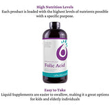 Life Solutions Folic Acid - Folic Acid 800 mcg Per Serving, Easy Absorption Liquid Folic Acid for Maximum Effectiveness, Dietary Supplement 8 fluid ounces