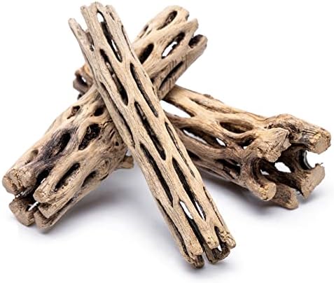 Natural Cholla Wood Logs - Driftwood for Aquariums, Fish Tanks, Shrimp, Hermit Crabs, Reptiles - 4 and 6 Inch Pieces (4 Inch (5 Pack))