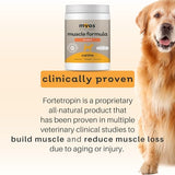 MYOS Canine Muscle Formula - Backed by Science All-Natural Muscle Building Supplement - Reduce Muscle Loss in Aging Dogs and Improve Recovery from Injury or Surgery, 12.7 Ounce