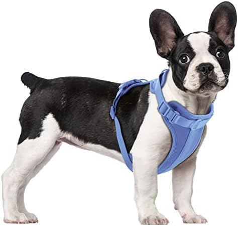 Wisedog No Pull Lightweight Dog Vest Harness with Soft and Comfortable Cushion, Breathable Mesh, for Small Medium Large Dogs Walking (M(Neck: 11.81"-18.11";Chest: 18.11"-27.95"), Blue)