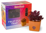 ZendoZones® Fruit Fly Trap 2 Pack, 1 ea of Mellow Molly & Serene Sandy Terra Cotta Base