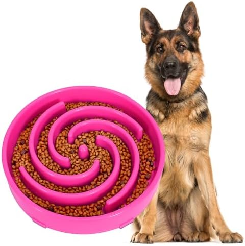 JASGOOD Slow Feeder Dogs Bowl for Large Medium Dogs,Anti-Gulping Pet Slower Food Feeding Bowls Stop Bloat,Preventing Choking Healthy Design Dogs Bowl
