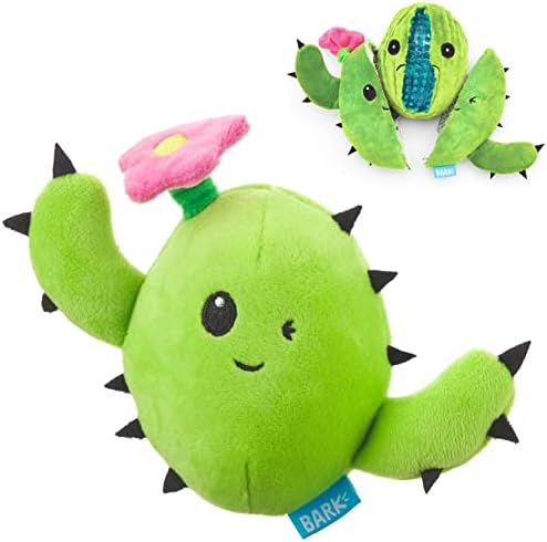 Barkbox 2 in 1 Interactive Plush Dog Toy - Rip and Reveal Toy for Dogs and Puppies - Stimulating Squeaky Pet Toys | Consuela Cactus (Small)