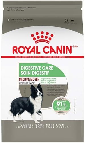 Royal Canin Medium Digestive Care Dry Dog Food, 30 lb bag