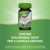 Nature's Way Goldenseal Root, Traditional Digestive Support, Berberine, Non-GMO Project Verified, Vegan, 50 Capsules (Packaging May Vary)