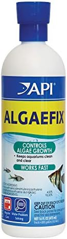 API ALGAEFIX Algae Control 16-Ounce Bottle