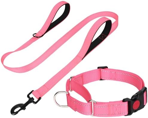 FunTags Reflective Martingale Collar for Dogs, Quick Release Buckle, 5FT Double Handle Dog Leash Padded, Dog Collar and Leash Set, Adjustable for Large Dogs (BabyPink, L)