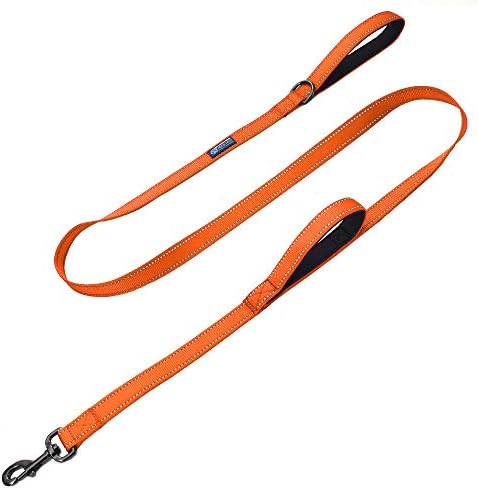 Max and Neo Double Handle Traffic Dog Leash Reflective - We Donate a Leash to a Dog Rescue for Every Leash Sold (Orange, 6 FT)