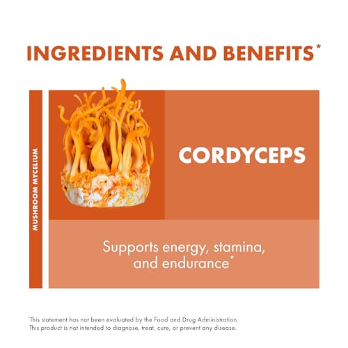 Host Defense Cordyceps Powder - Immune & Energy Support Supplement - Kidney Health Supplement with Cordyceps - Fitness Support Supplement to Aid Oxygen Uptake - 3.5 oz (66 Servings)*