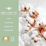 Organyc - 100% Certified Organic Cotton Tampons - No Applicator, Free from Chlorine, Perfumes, Rayon, and Chemicals 192 Count, Regular Flow (Pack of 12)