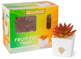 ZendoZones Fruit Fly Trap with Zendo Lure, Tranquil Tabitha with Plastic Terra Cotta Colored Base, Refillable and Reusable