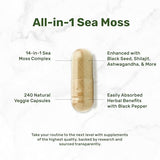 Irish Sea Moss 7000mg Per Serving, 240 Veggie Capsules – 14 Superfood Complex – 3000mg Black Seed Oil, 2000mg Ashwagandha, 600mg Ginger, 5000mg Shilajit, 600mg Bladderwarck, Turmeric, Noni & More