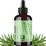 Pure Tea Tree Oil 4oz - Australian Tea Tree Essential Oil for Hair Nails and Skin- Aromatherapy Tea Tree Oil for Skin Dry Scalp Cleanser Nail Cleaner Plus Purifying Humidifier and Diffuser Oil