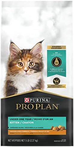 Purina Pro Plan With Probiotics, High Protein Dry Kitten Food, Shredded Blend Chicken & Rice Formula - 5 lb. Bag