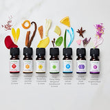 7 Chakra Essential Oil Diffuser Blend Gift Set by Aromafume | 7x 10ml/0.33 fl oz |Aromatherapy Oils for Meditation, Chakra Balance| Yoga & Reiki Gifts| Essential Oil Set for Plexus, Root Chakra & more