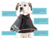 All Four Paws Comfy Cone Pet Cone for Dogs, Cats, XX-Large, Black - Comfortable Soft Dog Cone Collar Alternative for After Surgery, Wound Care, Spay, Neuter - Dog and Cat Recovery Collar