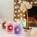 Set of 40 Scented Candle with 10 Fragrances, Soy Wax Aromatherapy Strong Scented Candle in Glass Jar for Women Home Decor