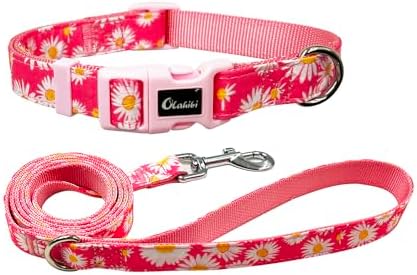 Dog Collar Leash Set, Floral Pattern, Nylon Webbing Plus Cotton Ribbon, 5ft Matching Leash, for Medium Dogs.(M, Pink Daisy)
