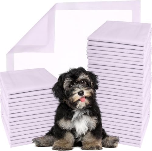 GREEN LIFESTYLE Disposable Underpads - Chucks Pads Disposable Adults, for use as Incontinence Bed Pads, Puppy Pads, Pee Pads for Dogs, Cats, Bunny, Seniors Bed Pad (Pack of 480 - 22x22)