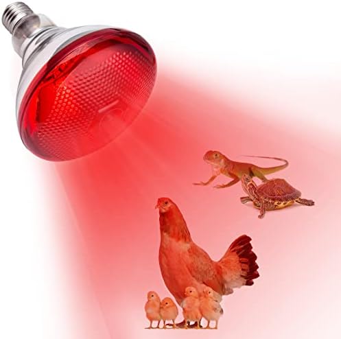 Heat Lamp for Chickens Coop Brooder and Reptile Heat Bulb 150 Watt Infrared Red Light
