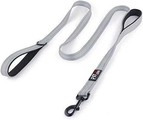 Plutus Pet Double Handle Dog Leash 4ft, Heavy Duty, Reflective Dual Handle Dog Leash for Safety Training, for Medium Large Dogs,2 Handle Leads(Gray)
