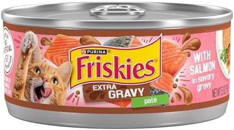 Purina Friskies Wet Cat Food Extra Gravy Pate With Salmon in Savory Gravy - (Pack of 24) 5.5 oz. Cans