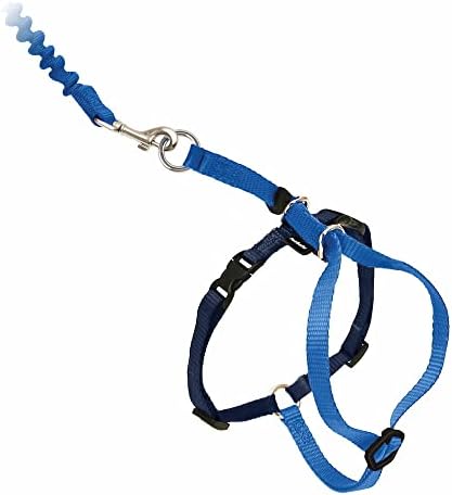 PetSafe Come with Me Kitty Harness and Bungee Leash, Large, Royal Blue