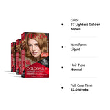 Revlon ColorSilk Beautiful Color Permanent Hair Color, Long-Lasting High-Definition Color, Shine & Silky Softness with 100% Gray Coverage, Ammonia Free, 57 Lightest Golden Brown, 3 Pack