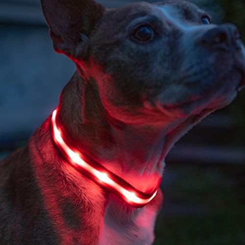 BLAZIN Brightest Light Up Dog Collars - The Original LED Dog Collar with 1,000 Feet of Visibility - USB Rechargeable Waterproof Dog Collar Light - Dog Lights for Night Walking - USA Brand