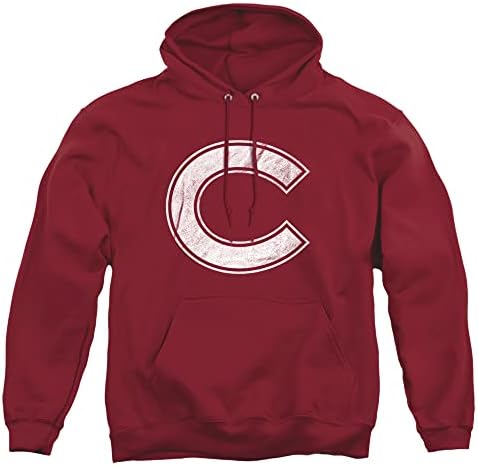 LOGOVISION Official Collegiate Distressed Primary Logo Adult Pullover Hoodie Collection
