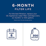 GE MWF Refrigerator Water Filter | Certified to Reduce Lead, Sulfur, and 50+ Other Impurities | Replace Every 6 Months for Best Results | Pack of 1