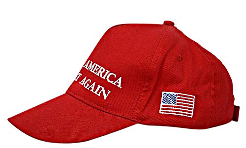 Trump 2024 Hat Make America Great Again Cap Donald Trump Take America Back MAGA USA Adjustable Baseball Hat (Trump 4.0)