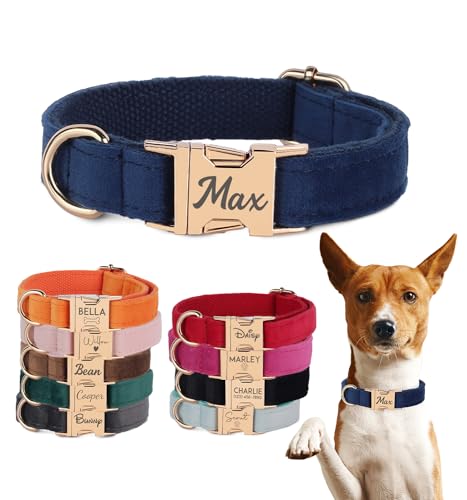 Velvet Harness Set, Gift for Pet Owners, Custom Dog Collar Personalized with Name and Phone Number, Custom Collar and Leash for Dogs, Engraved Metal Buckle Collar (X-Large)