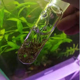 2 pcs Glass 2 Pieces Planaria Trap 3-Holes Glass Snail Catcher For Aquarium Cherry Shrimp Crystal Red Shrimp Dwarf Shrimp Trap