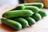 US Grown! 30+ Persian Beit Alpha (a.k.a. Lebanese) Cucumber Seeds Heirloom Non-GMO Burpless Sweet Non-Bitter and Acid Free, Crispy and Sweet, Fragrant and Delicious, Cucumis sativus, Grown in USA!