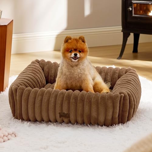 Bedsure Cute Dog Bed for Small Medium Dogs - Washable Furry Puppy Beds, Rectangle Orthopedic Corduroy Fleece Pet Beds with Removable Zipper Cover, 25x21x7inches, Copper Brown